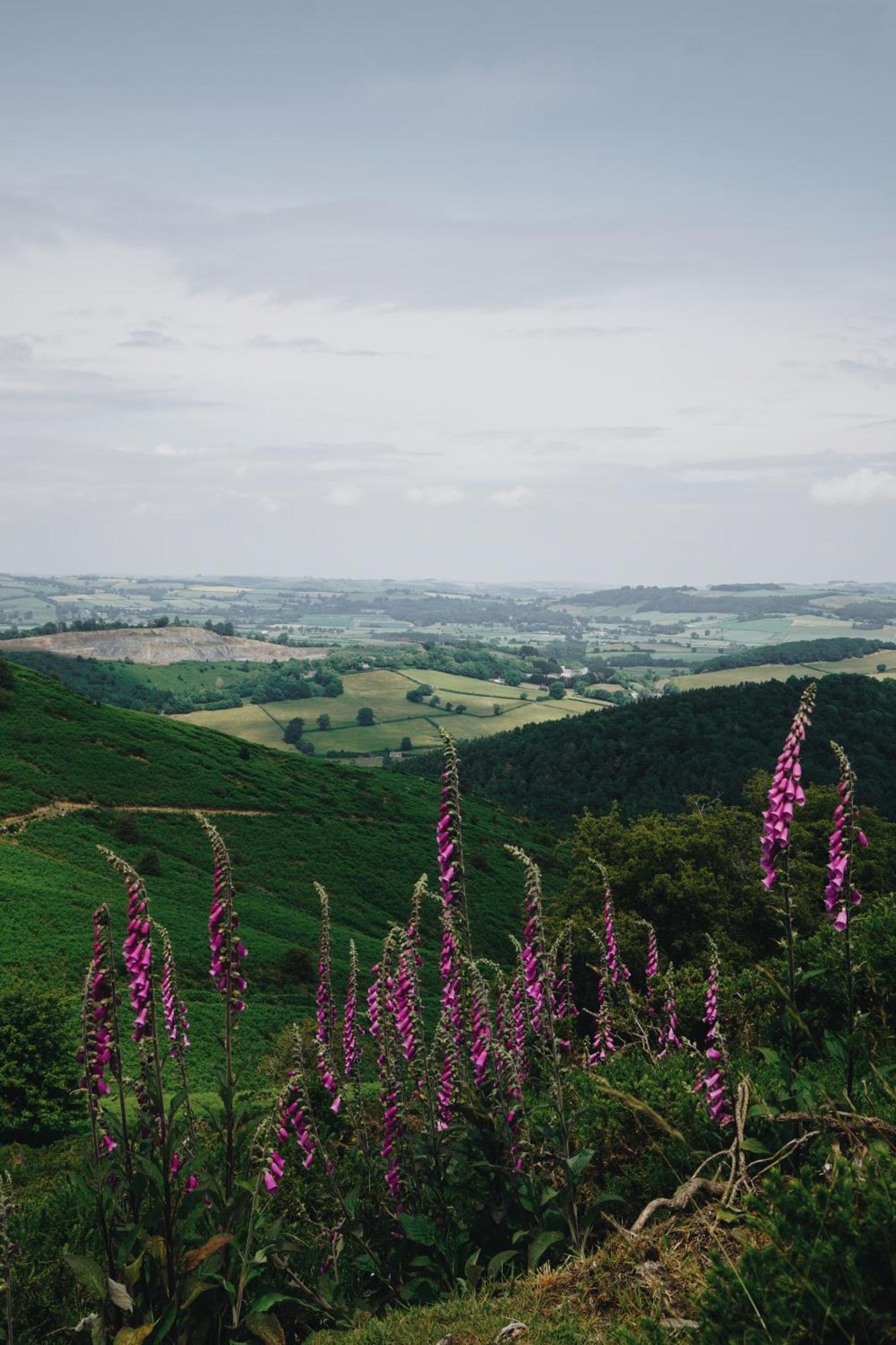 Two Unique Cabins Wrapped In Beautiful Welsh Scenery Presteigne Luaran gambar