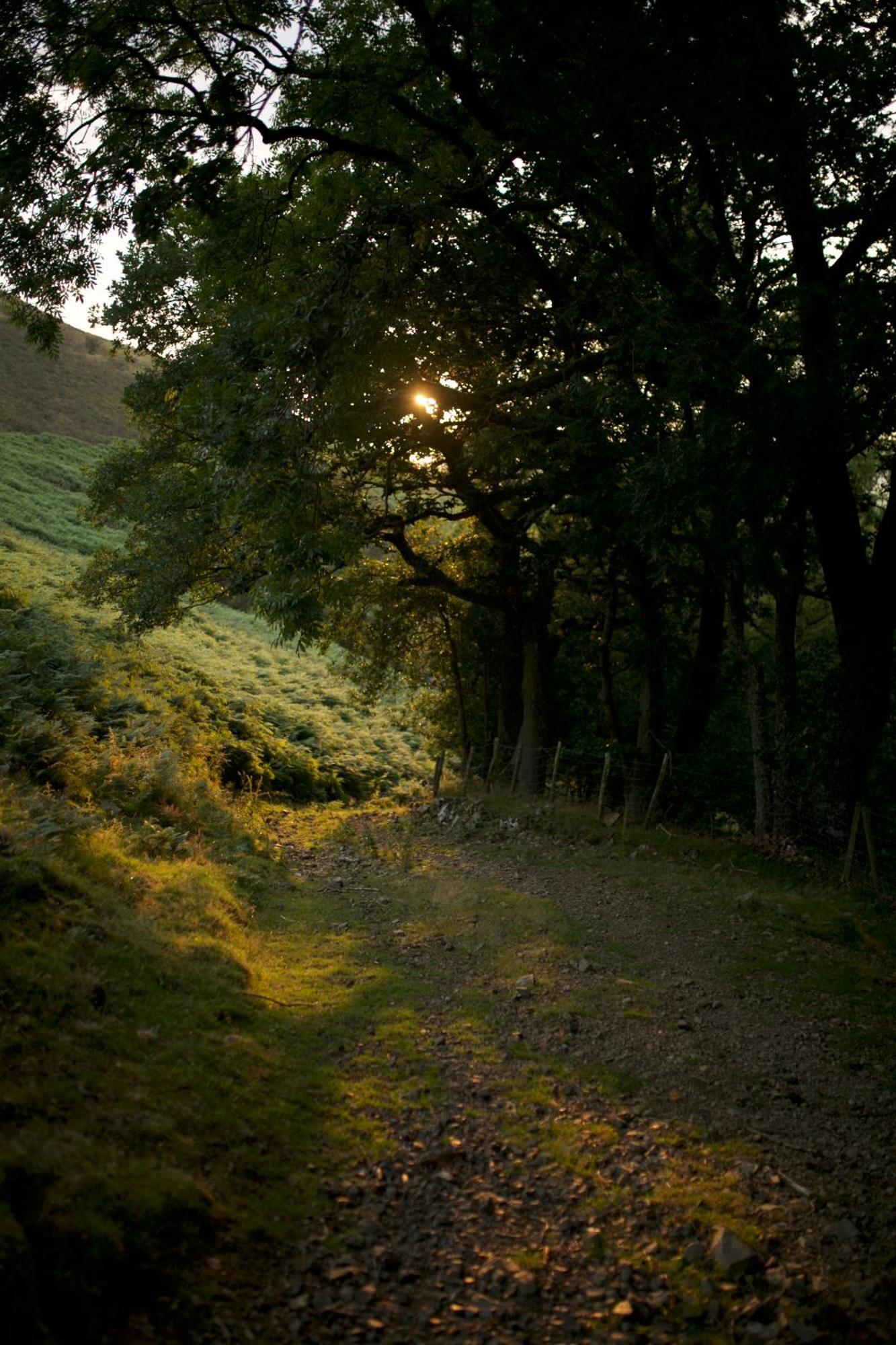 Two Unique Cabins Wrapped In Beautiful Welsh Scenery Presteigne Luaran gambar