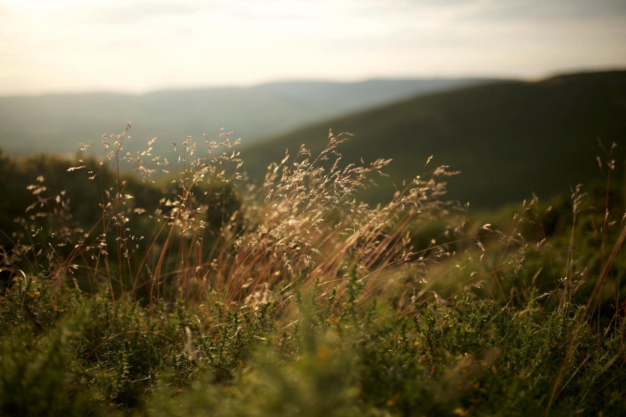 Two Unique Cabins Wrapped In Beautiful Welsh Scenery Presteigne Luaran gambar