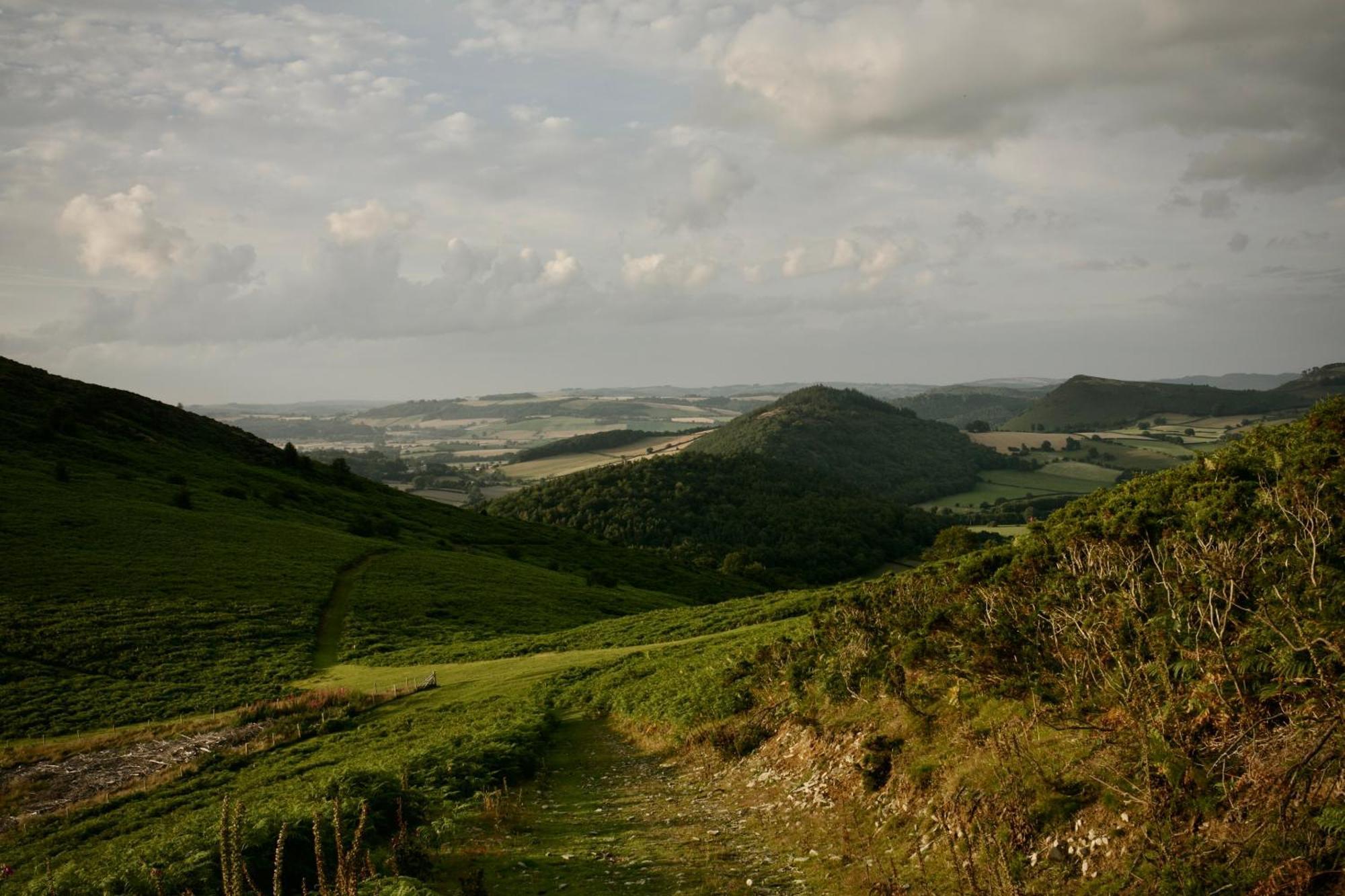 Two Unique Cabins Wrapped In Beautiful Welsh Scenery Presteigne Luaran gambar