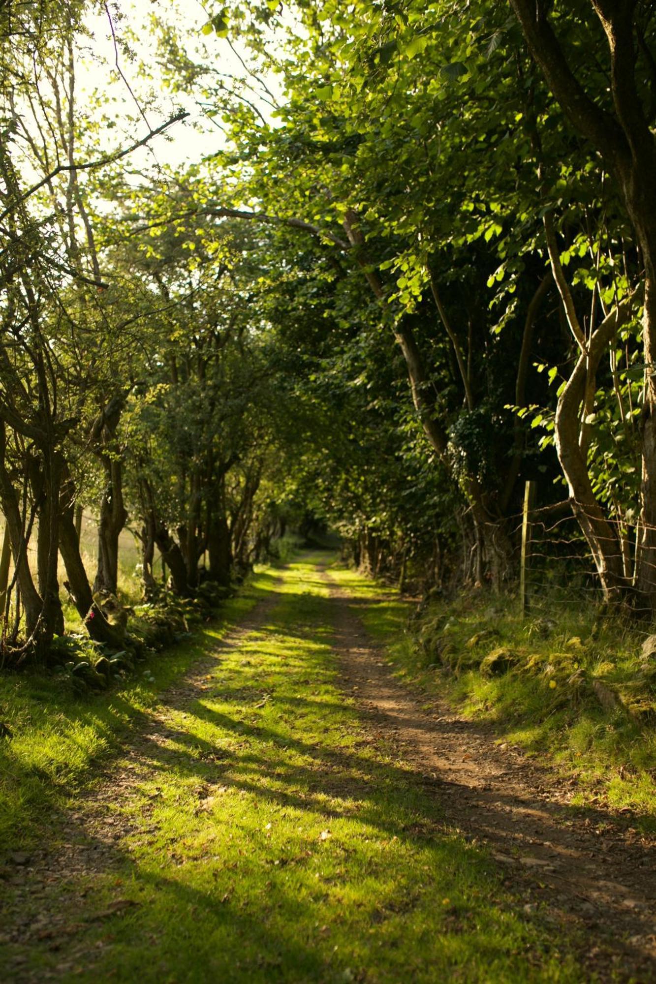 Two Unique Cabins Wrapped In Beautiful Welsh Scenery Presteigne Luaran gambar